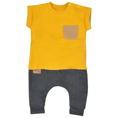 Kojenecké tepláčky a tričko Koala Summer Boy šedo-hořčičové Žlutá 62 (3-6m)